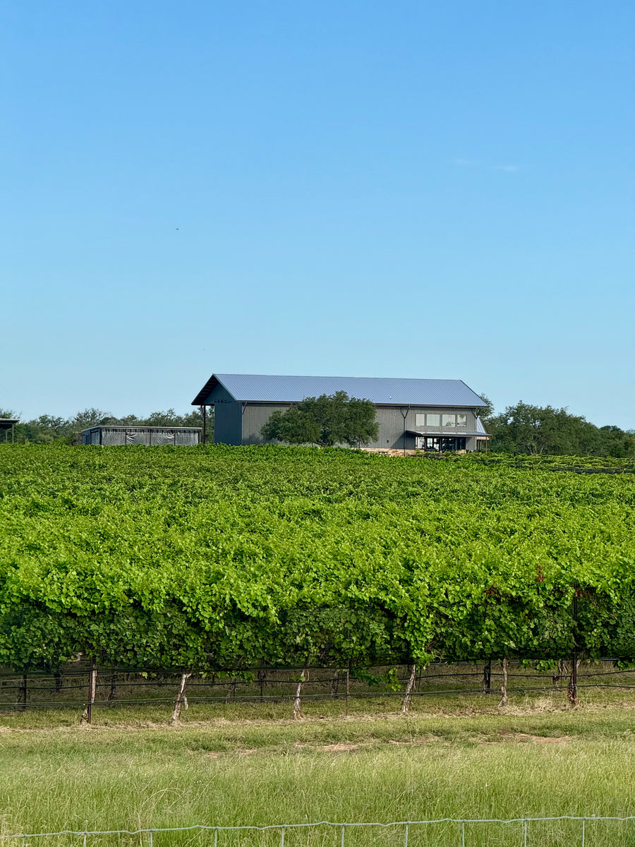 Winery from the Vineyard
