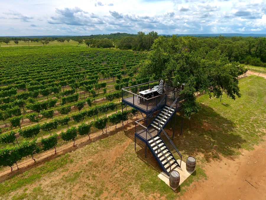 Treehouse from Above