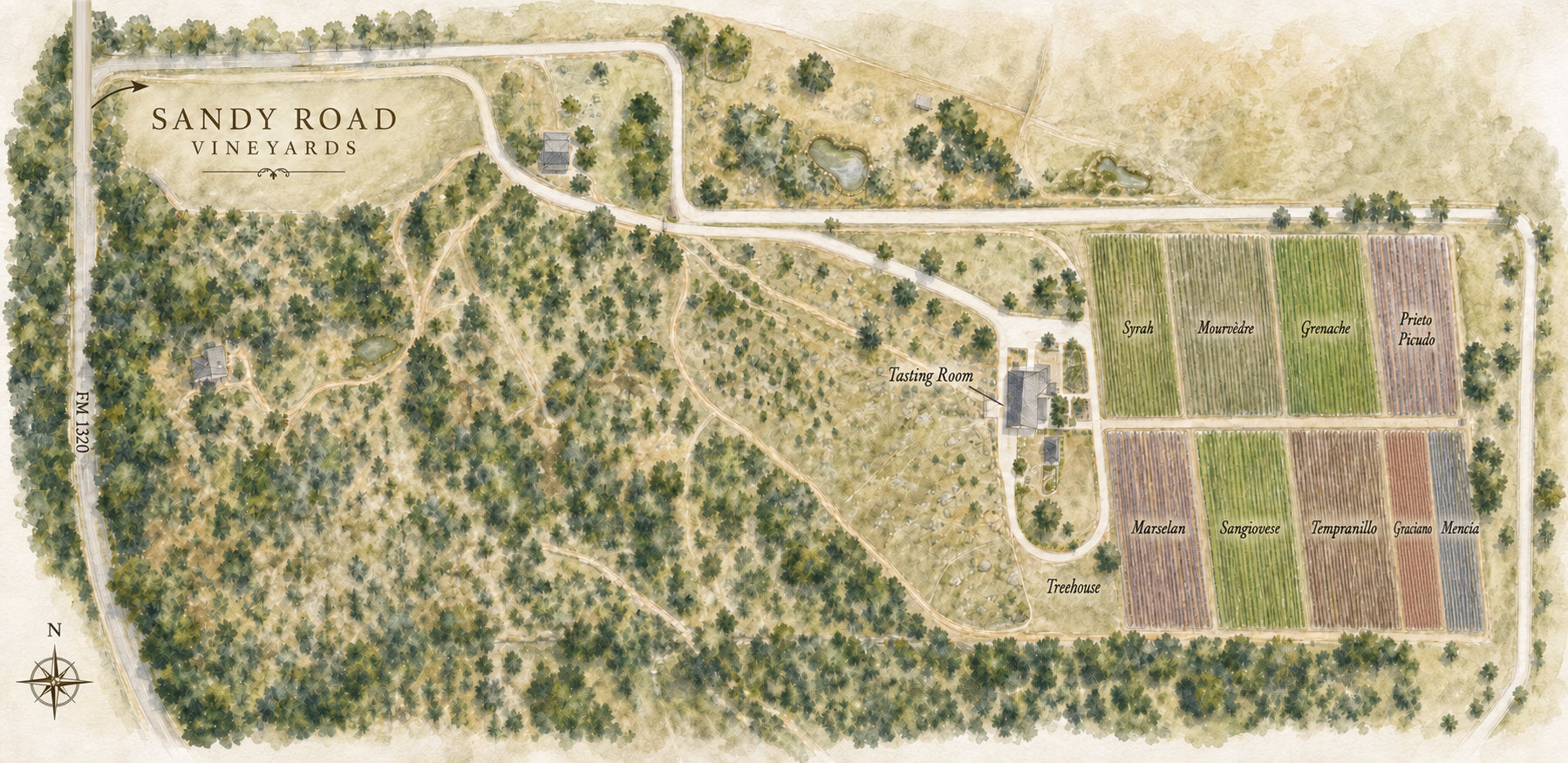Illustrated map of the Sandy Road Vineyards estate and vineyard blocks
